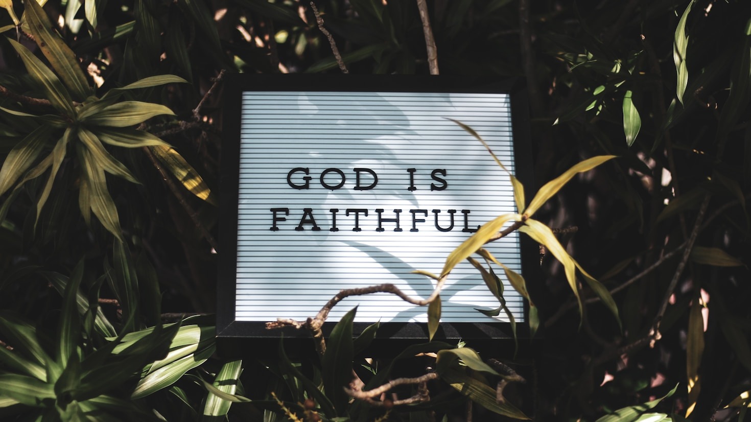 Steps to a More Fulfilled Faith Journey